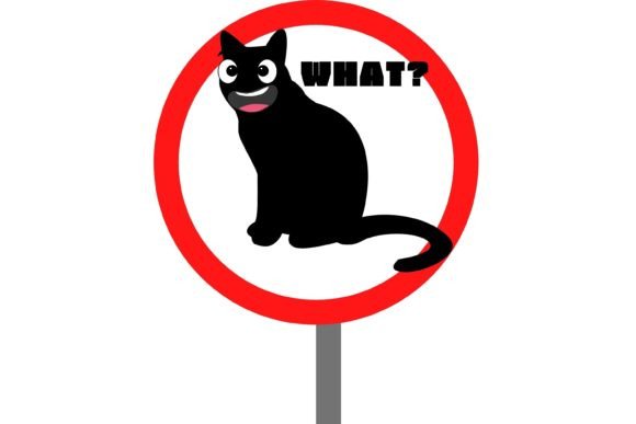 Cat What Funny Black Cat: A Designer's Review
