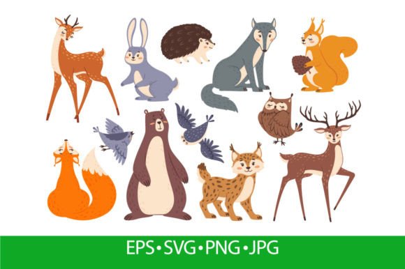 Forest Wildlife Animals and Birds Review